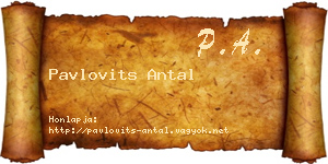 Pavlovits Antal névjegykártya